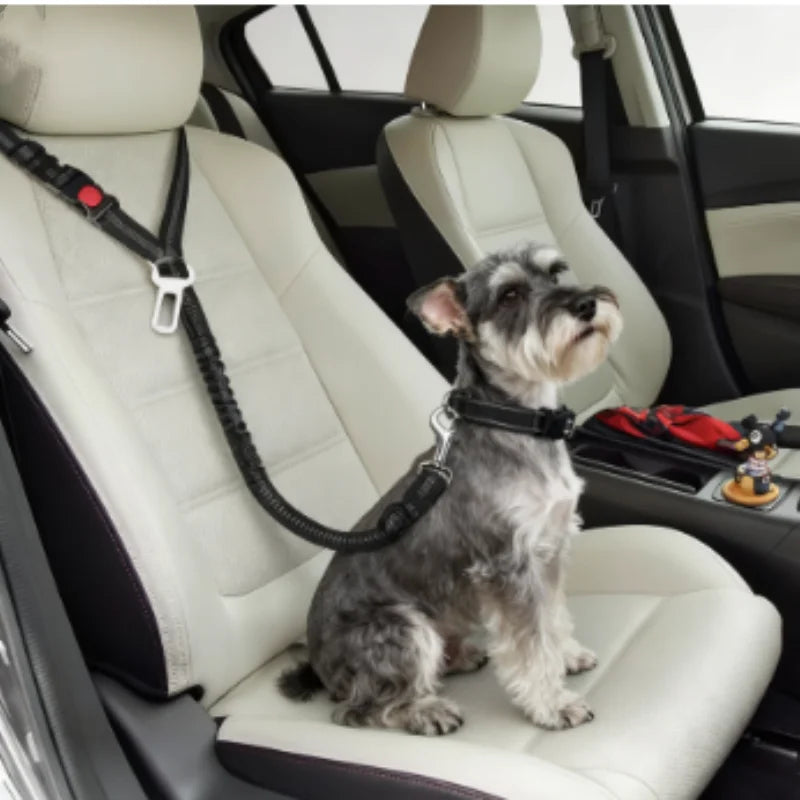 2 in 1 PupBolt™ Dog Seat Belt